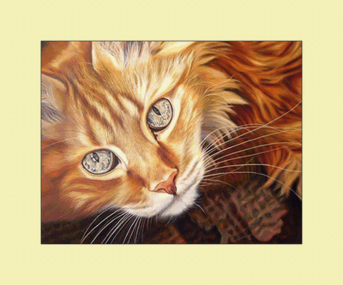 Рыжий котик.) - животные, кот, кошка, рыжий - предпросмотр