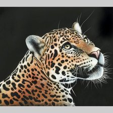 Схема вышивки «№1996286»