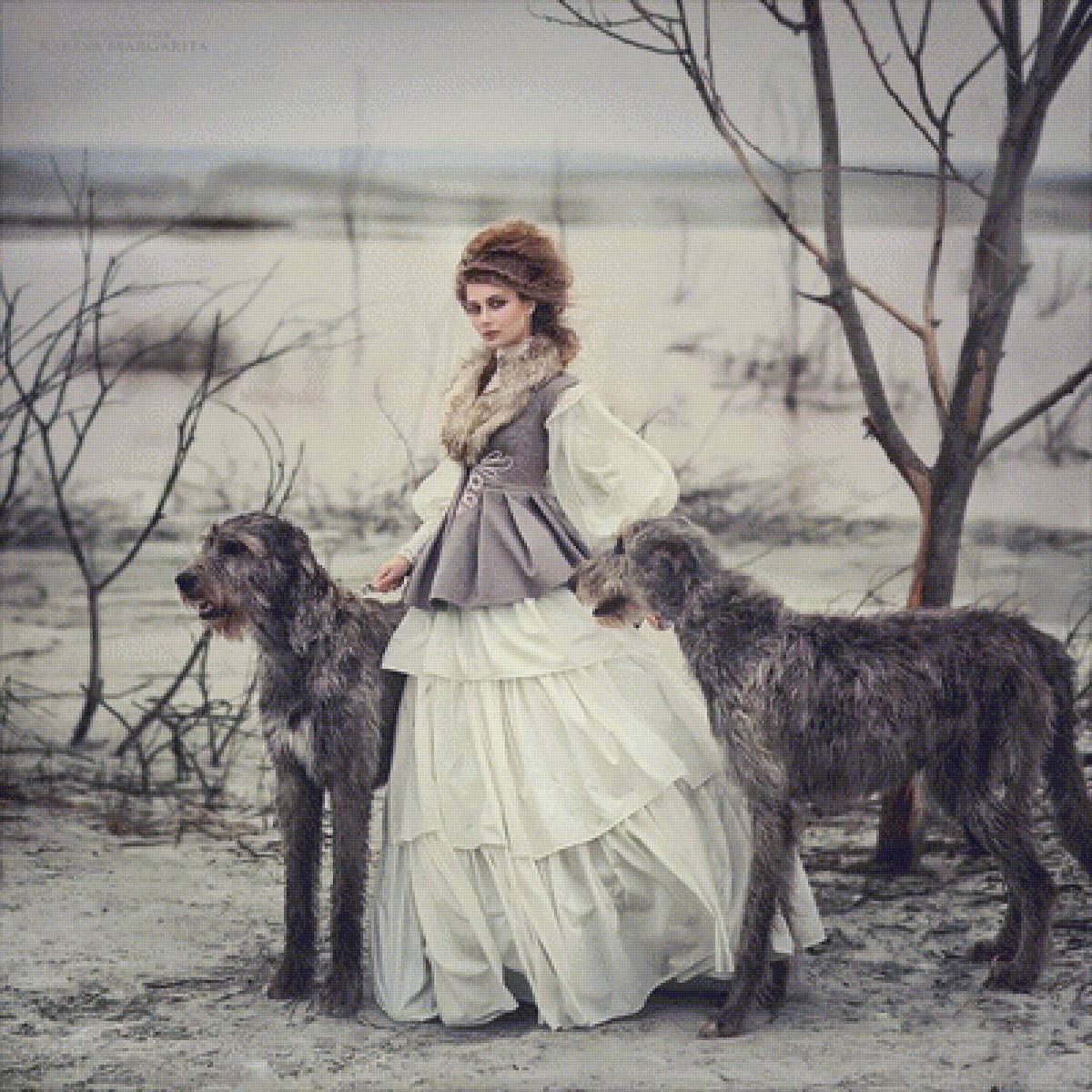 Леди с собаками - предпросмотр