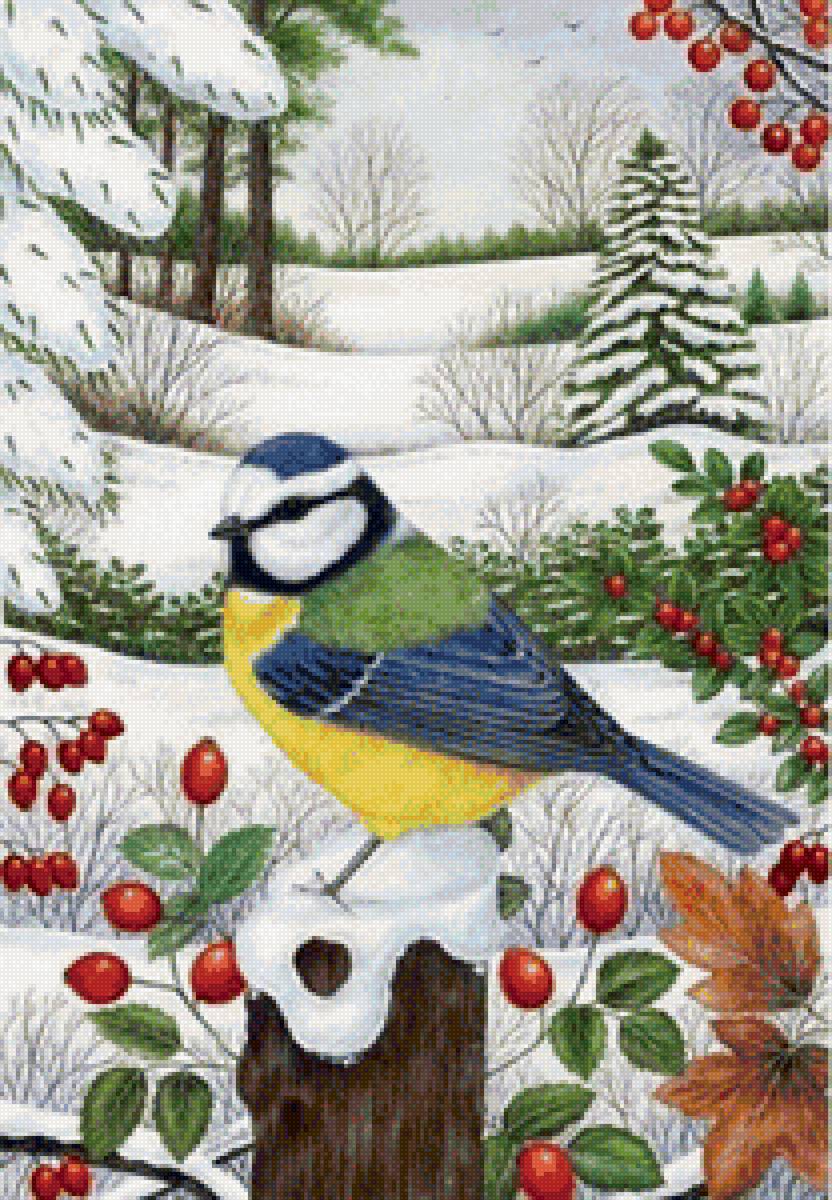 Зимний пейзаж - ягоды, снег, птичка - предпросмотр
