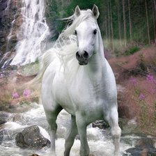 Схема вышивки «лошадь»