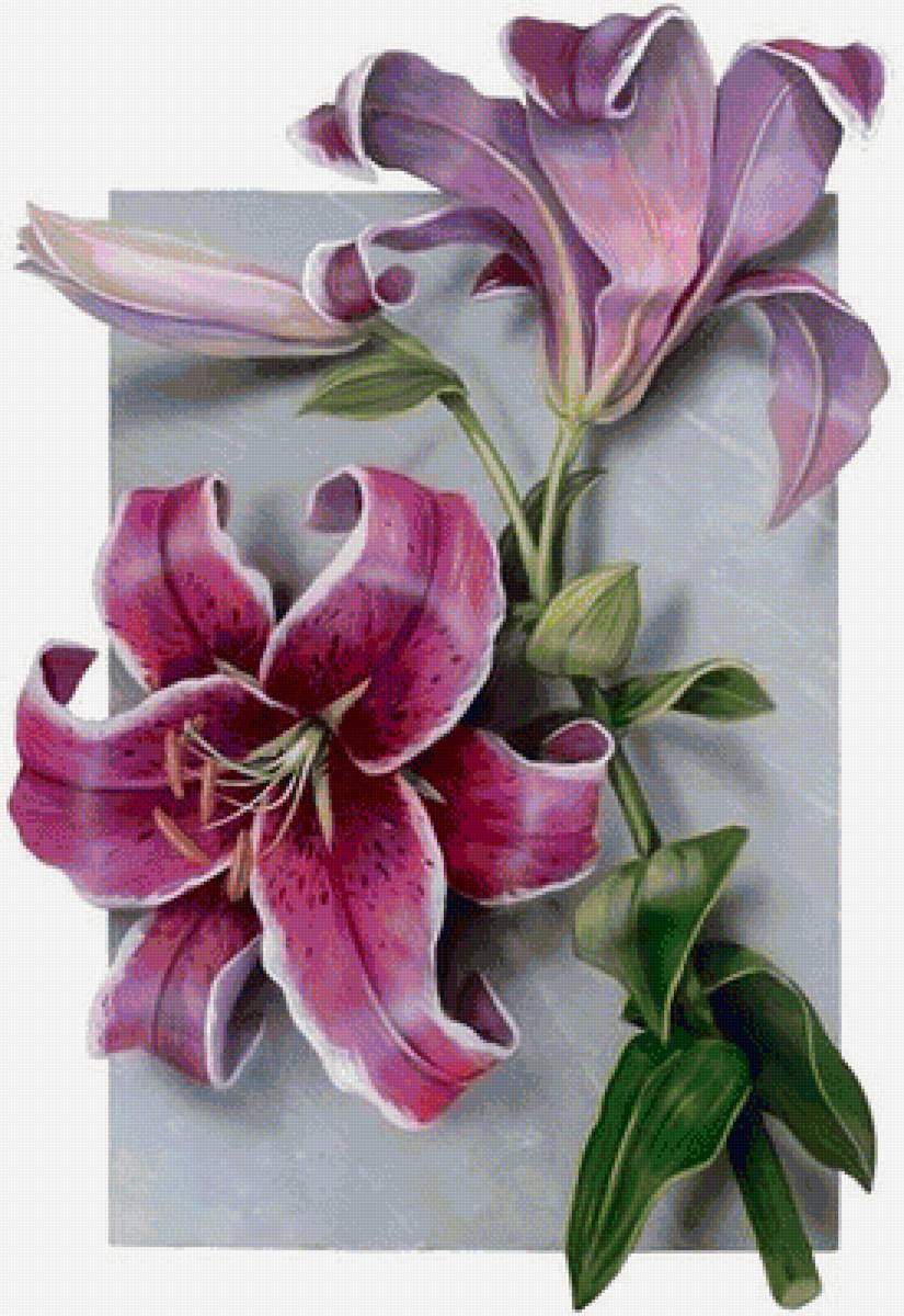 цветы - предпросмотр