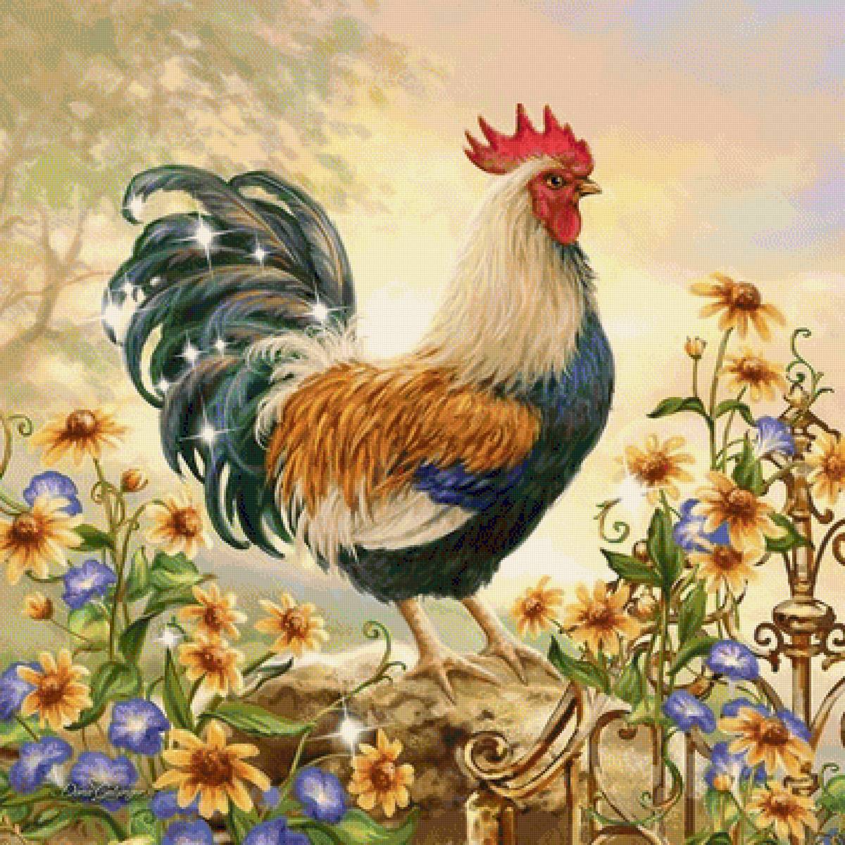 kohút,kvety - предпросмотр