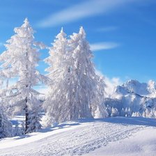 Схема вышивки «№1997481»