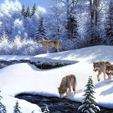 Схема вышивки «№1997828»