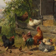 Схема вышивки «Птичий двор»