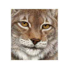 Схема вышивки «дикие»