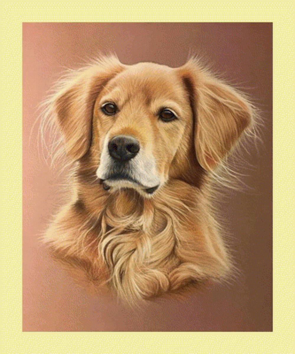 №1998104 - собаки, животные - предпросмотр