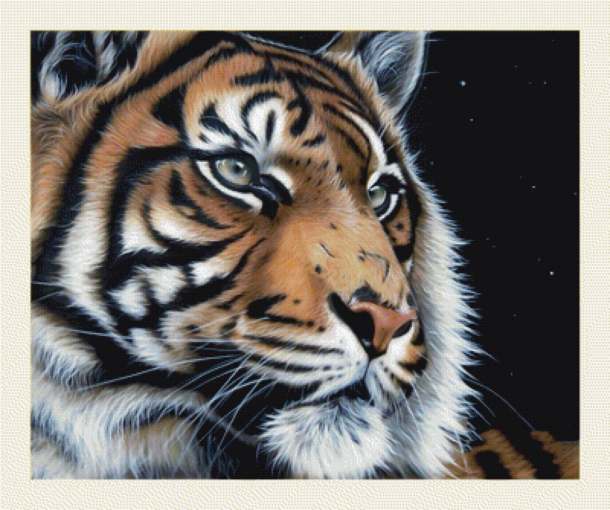 №1998122 - тигры, животные, тигр, хищники - предпросмотр