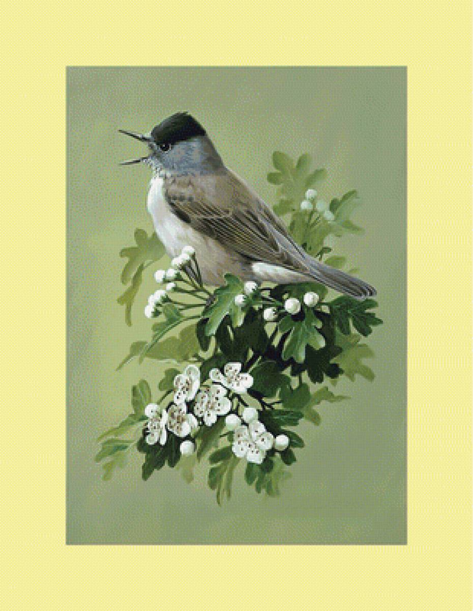 Птичка. - птица, цветы, ветка, живопись - предпросмотр