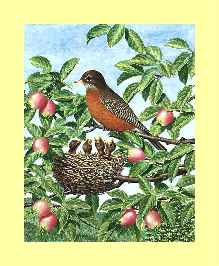 Птицы. - птицы, ветви, живопись, гнездо, яблоки - оригинал