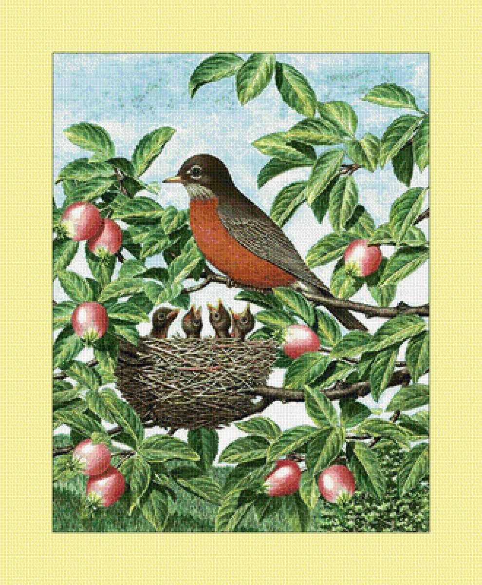 Птицы. - ветви, птицы, гнездо, яблоки, живопись - предпросмотр
