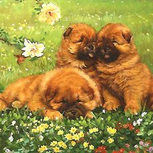 Схема вышивки «№1998490»