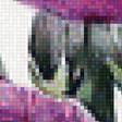Предпросмотр схемы вышивки «Фиолетовые рунункулюсы» (№1998962)