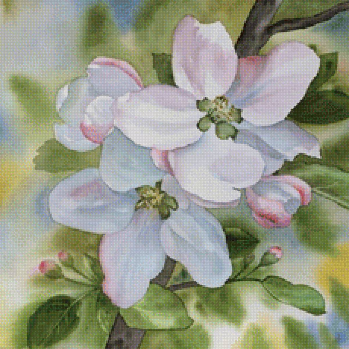 Яблоневый цвет - яблоневый цвет, цветы, весна - предпросмотр