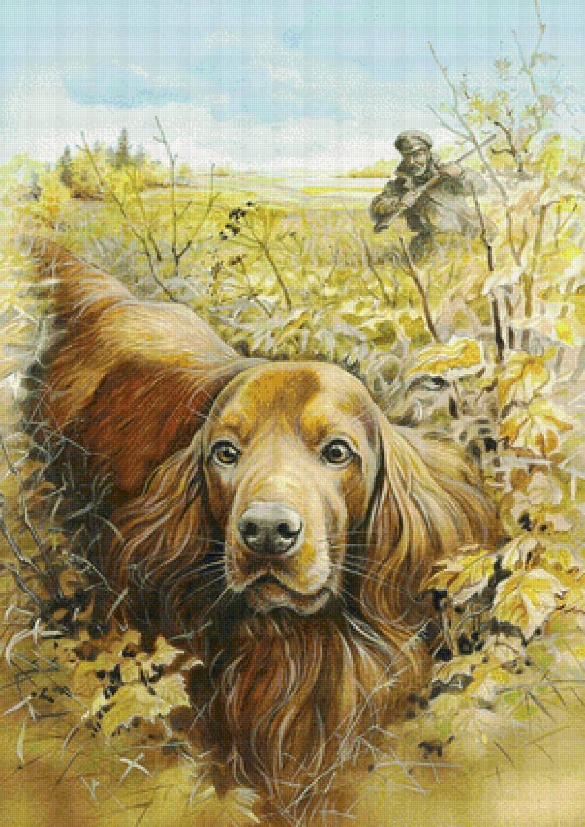 Охота - люди, охота, собака, охотник, животные - предпросмотр