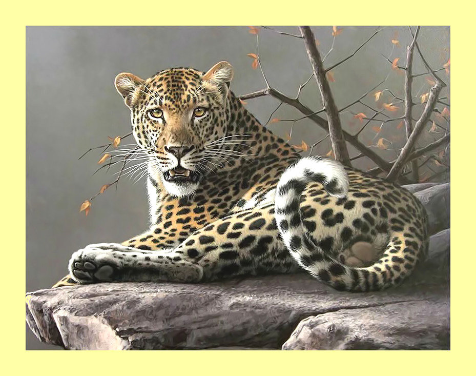 Леопард. - хищник, животные, леопард - оригинал