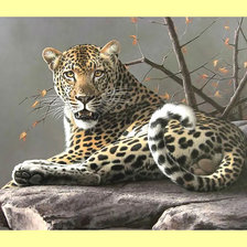 Оригинал схемы вышивки «Леопард.» (№1999155)