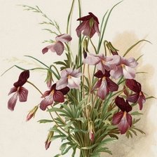 Схема вышивки «Фиалки»