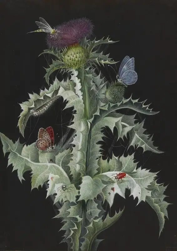 Старинный чертополох с насекомыми - цветы, флора, бабочки, старинный чертополох - оригинал