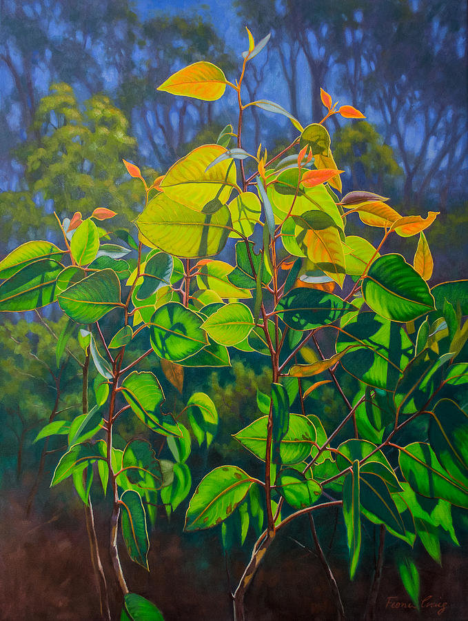 Листья на солнце - растение, солнце, куст зеленый, лучи, природа - оригинал