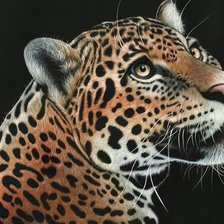 Схема вышивки «№1999602»