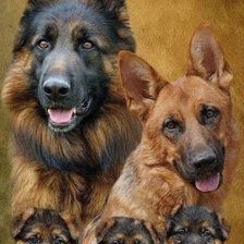 Схема вышивки «Семья»