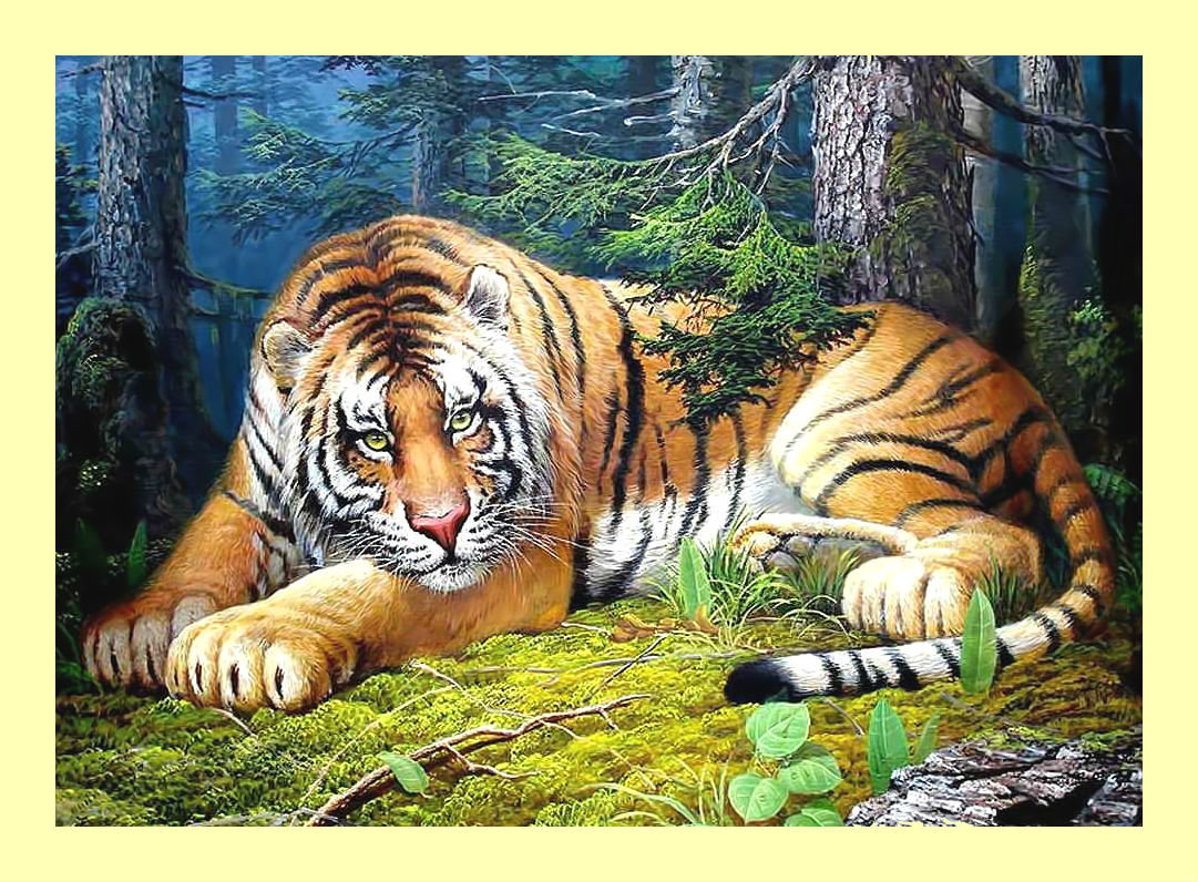 Тигр. - тигр, лес, хищник, животные - оригинал