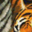 Предпросмотр схемы вышивки «Тигры.» (№2000389)