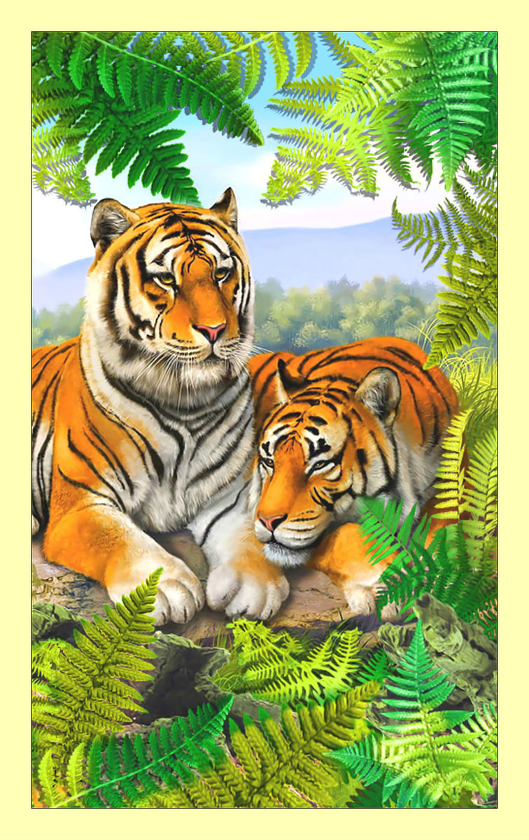 Тигры. - хищники, животные, тигры - оригинал