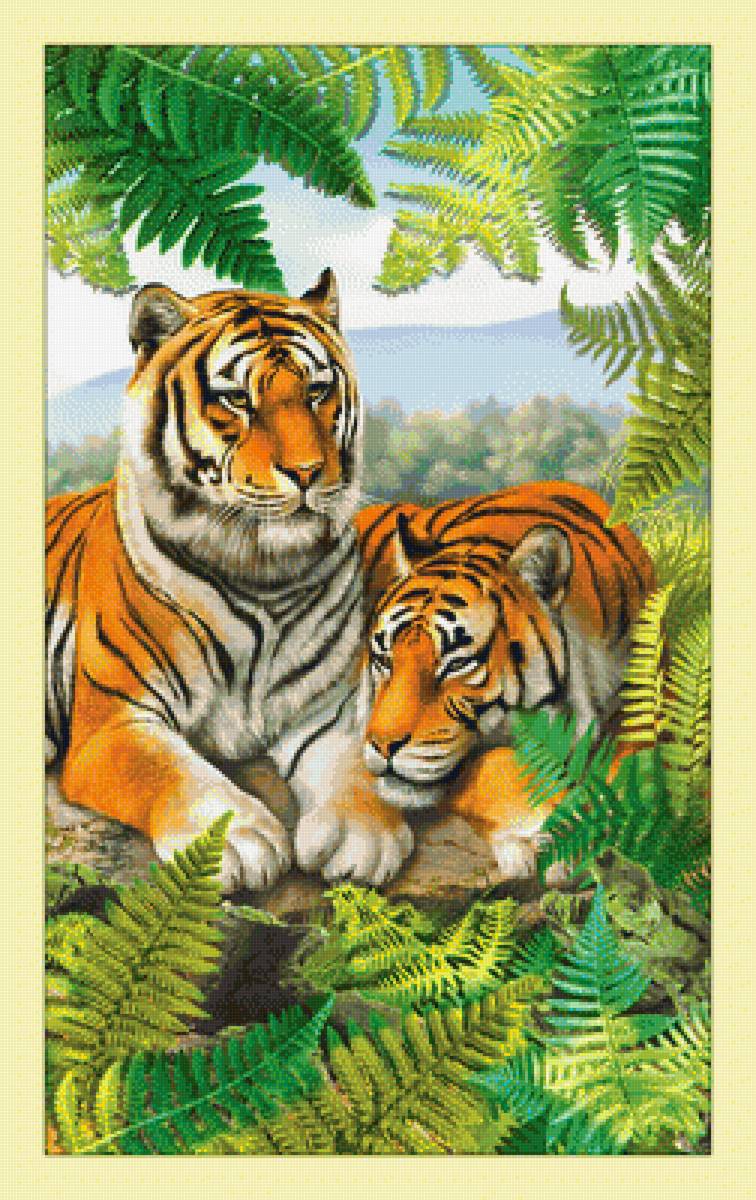 Тигры. - хищники, тигры, животные - предпросмотр