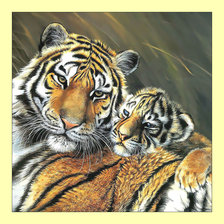 Оригинал схемы вышивки «Тигры.» (№2000397)