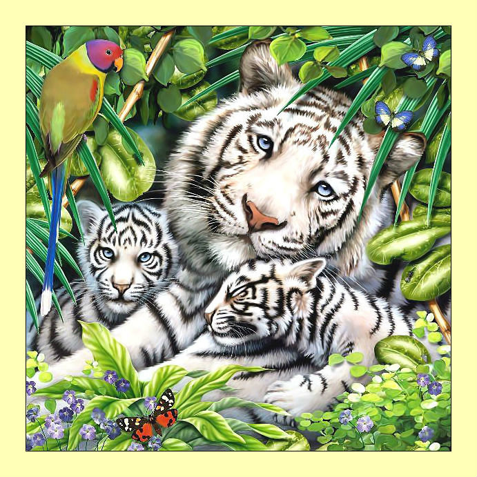 Белые тигры. - хищники, птицы, тигрята, животные, тигры - оригинал