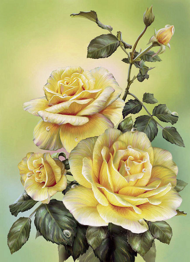 №2000882 - роза, букет, цветы - оригинал