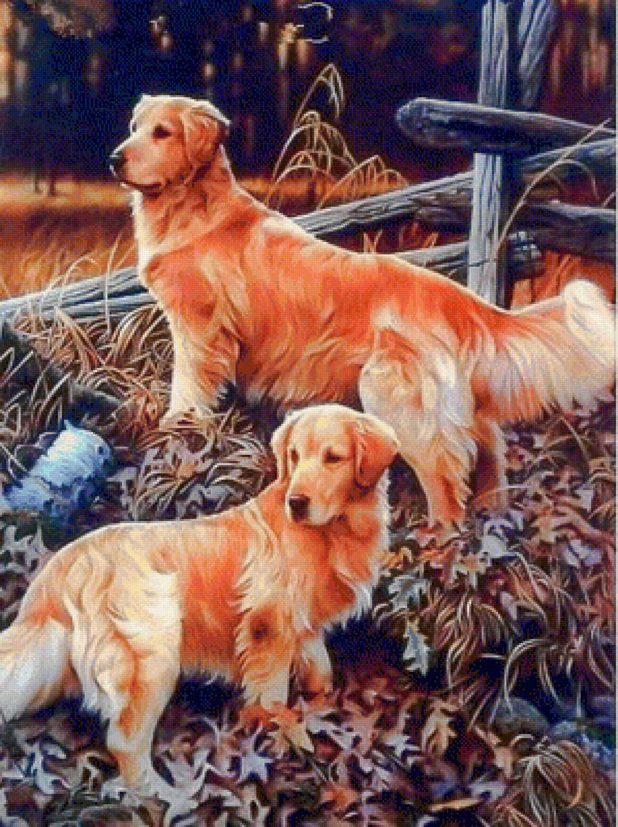 Twins. - animals. - предпросмотр