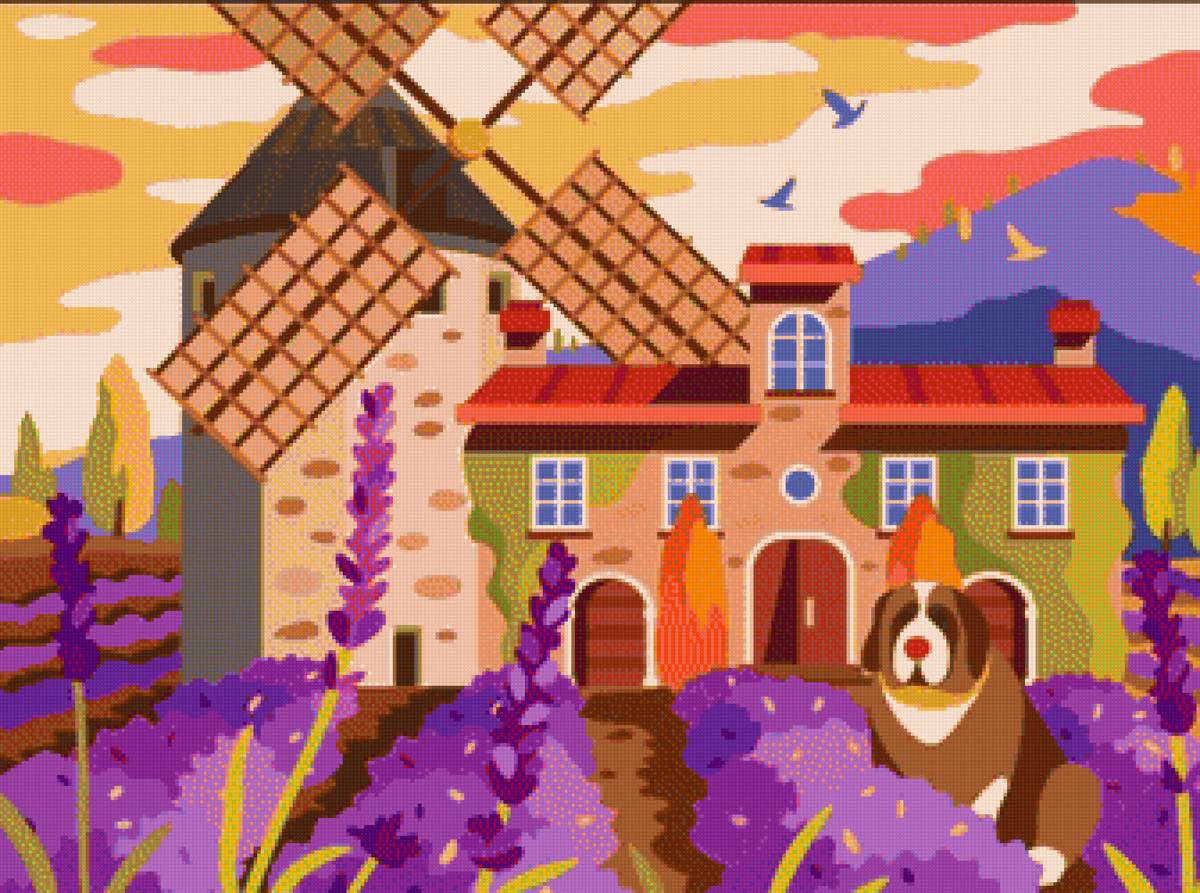 Старая мельница - вечер, деревня, мельница, собака, лаванда - предпросмотр