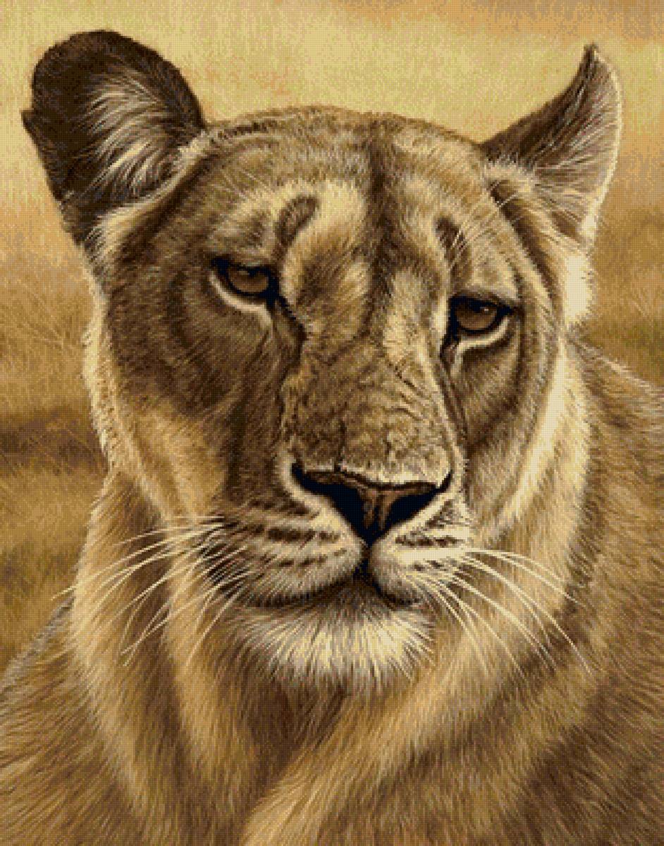 дикие - предпросмотр