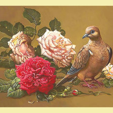 Схема вышивки «Розы и голубь.»