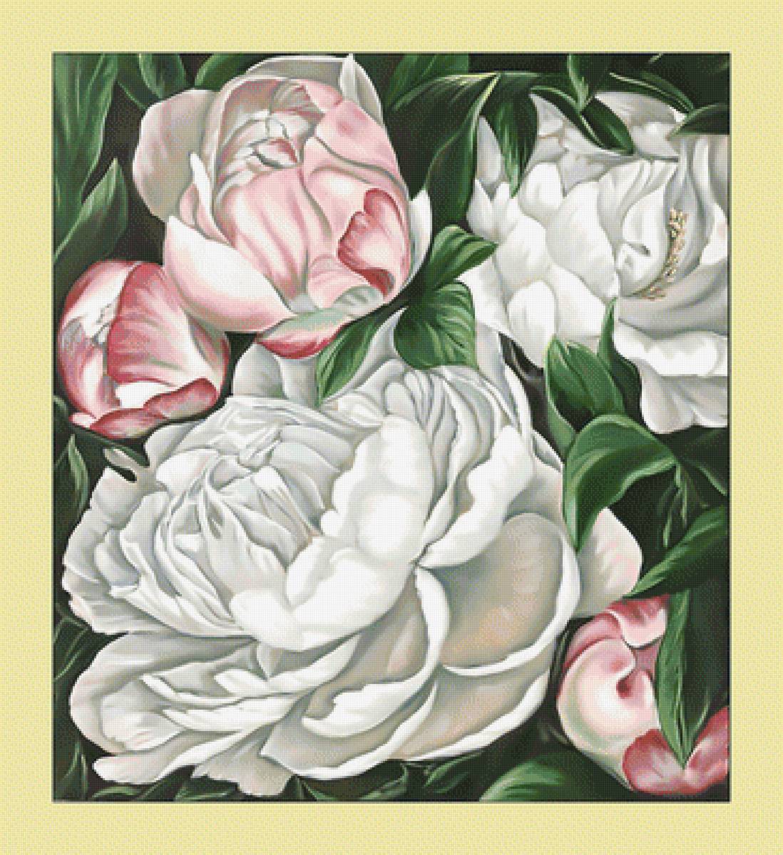 Белые пионы. - белые, пионы, цветы, живопись - предпросмотр