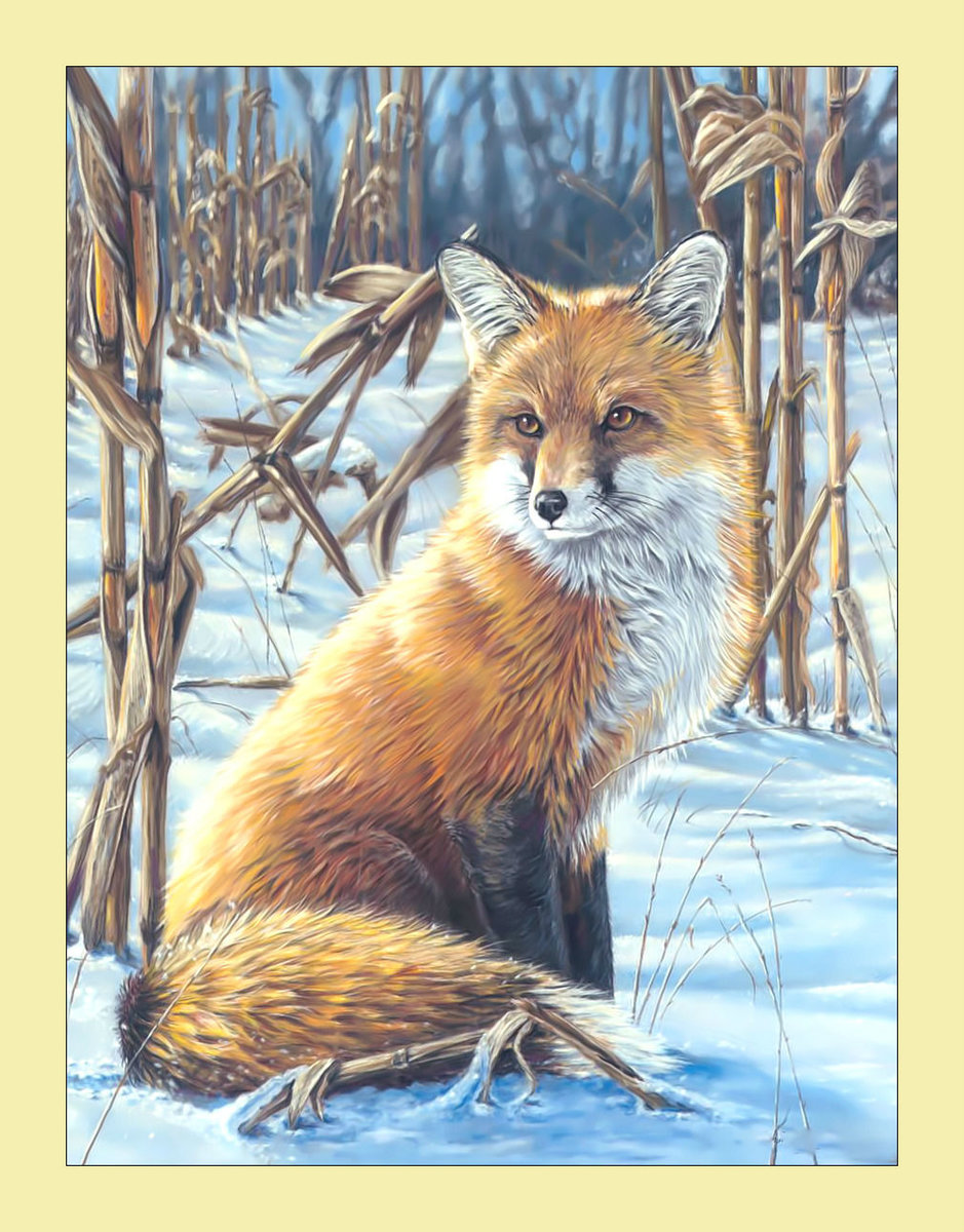 Лиса. - хищник, лиса, снег, зима, живопись - оригинал