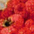 Предпросмотр схемы вышивки «с малиной» (№2001262)