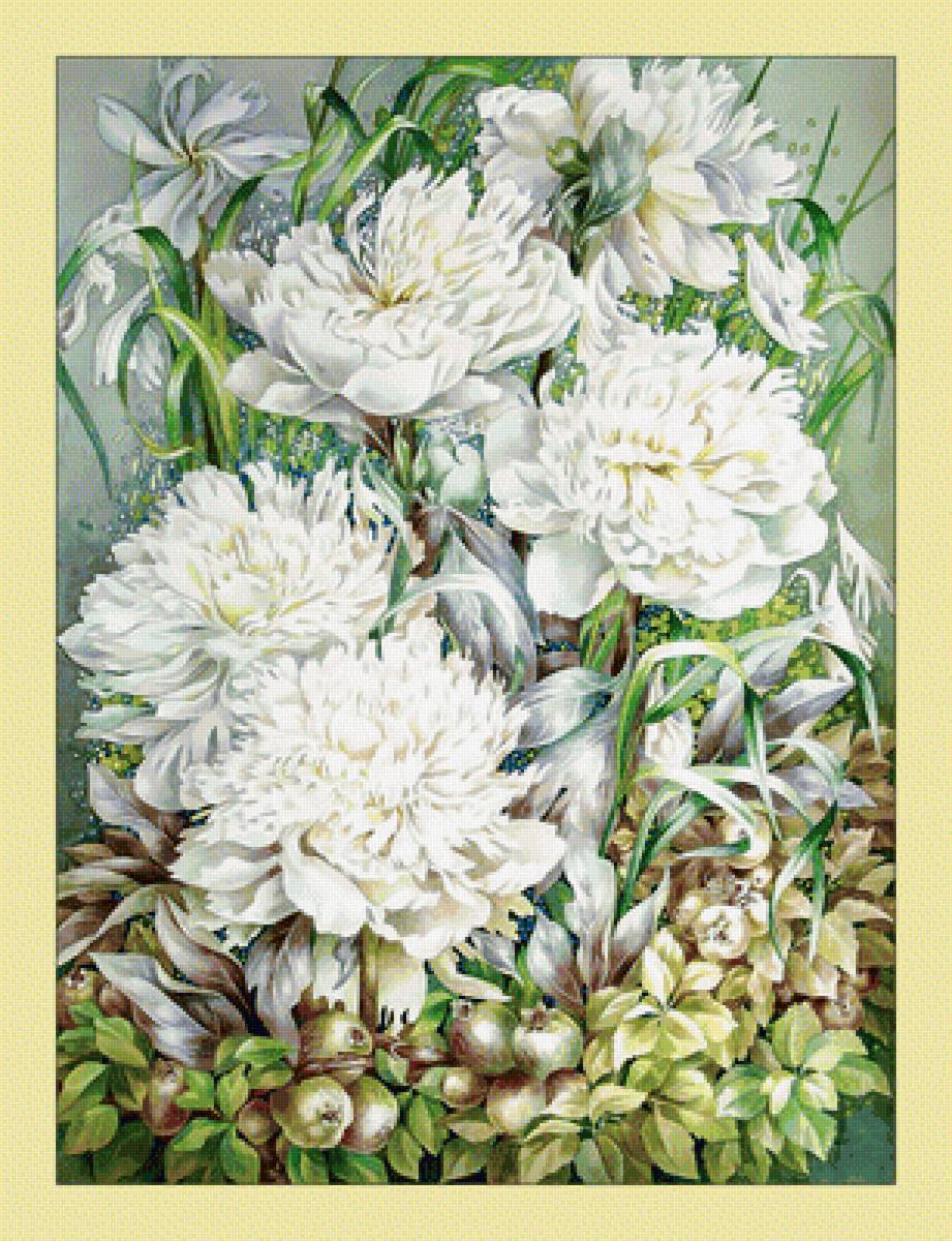 Белые пионы. - цветы, живопись, белые, пионы - предпросмотр