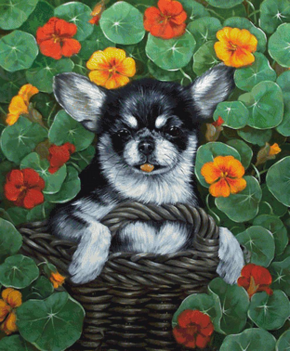 №2001403 - предпросмотр