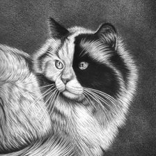 Схема вышивки «№2001406»