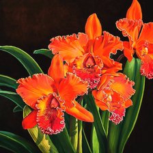 Схема вышивки «№2001593»