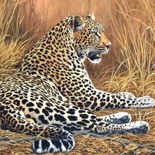 Схема вышивки «дикие»