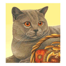 Оригинал схемы вышивки «Котик.» (№2002113)