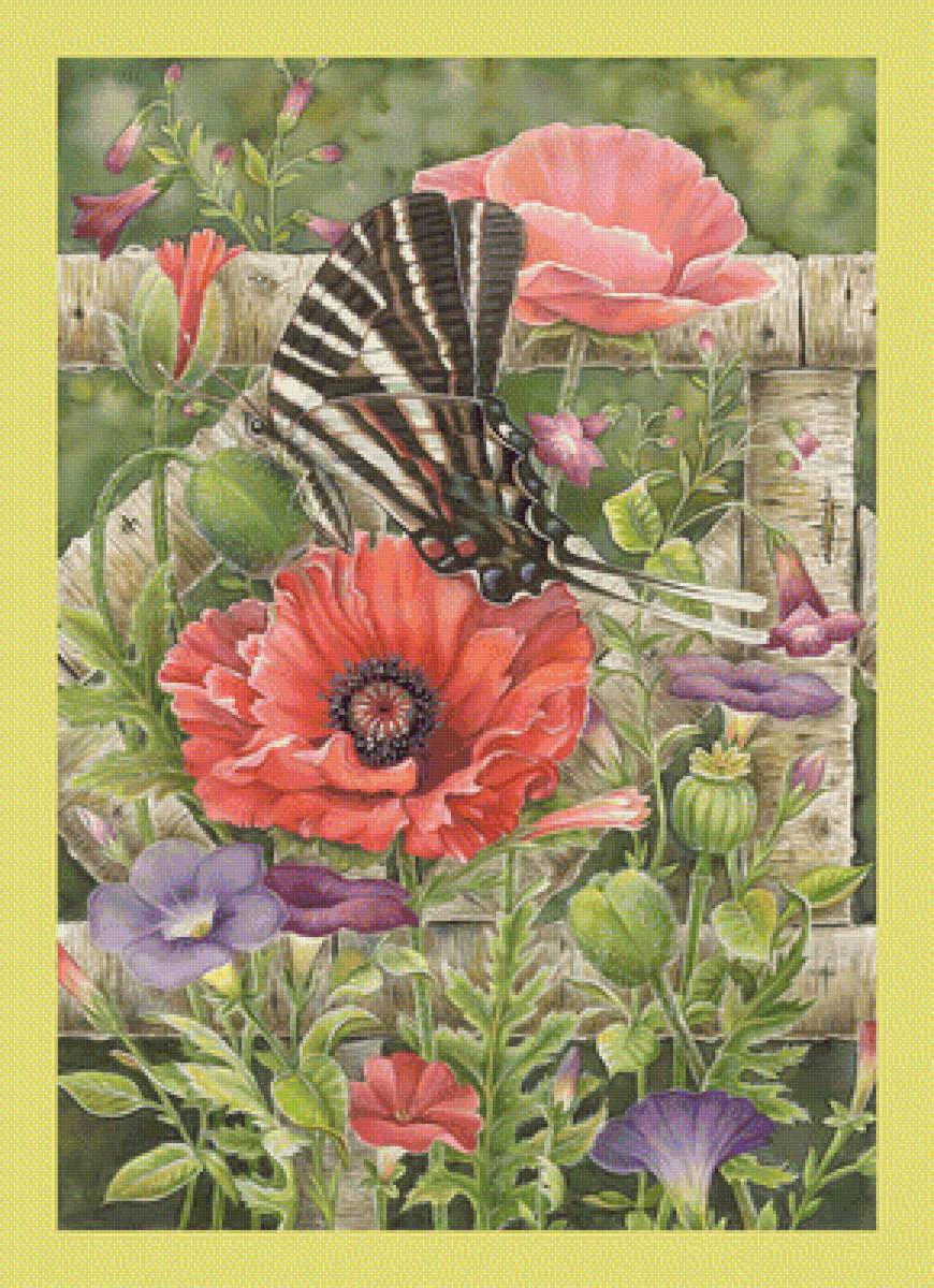 Маки. - цветы, маки, бабочка - предпросмотр