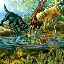 Схема вышивки «№2002597»