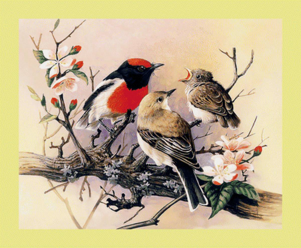 Яркие птички. - птицы, цветы - предпросмотр